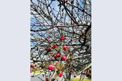 4906 Shadow Stone Drive, Bakersfield, CA 93313 - Photo 9