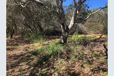 221 Tucker Road, Royal Oaks, CA 95076 - Photo 5