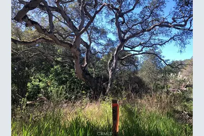 221 Tucker Road, Royal Oaks, CA 95076 - Photo 9