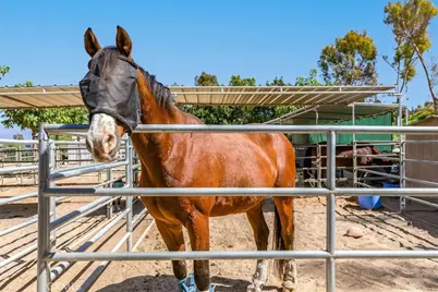 116 Via Estrada #H, Laguna Woods, CA 92637 - Photo 33