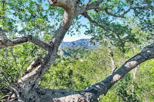 42 Abrigo, Rancho Santa Margarita, CA 92688 - Photo 65