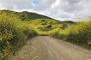 29771 Monarch Dr, San Juan Capistrano, CA 92675 - Photo 63