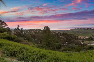 31152 Boca Raton, Laguna Niguel, CA 92677 - Photo 51