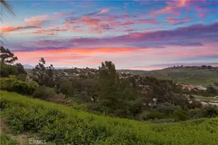 31152 Boca Raton, Laguna Niguel, CA 92677 - Photo 51