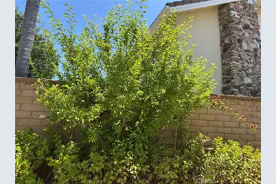 24615 Kings Road, Laguna Niguel, CA 92677 - Photo 37