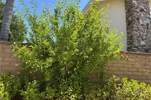 24615 Kings Rd, Laguna Niguel, CA 92677 - Photo 37