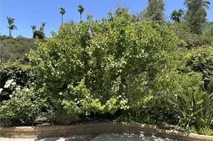 24615 Kings Rd, Laguna Niguel, CA 92677 - Photo 35