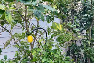 12891 MacKenzie Dr, Tustin, CA 92782 - Photo 41