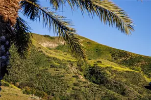 170 Leafy Pass, Irvine, CA 92602 - Photo 57