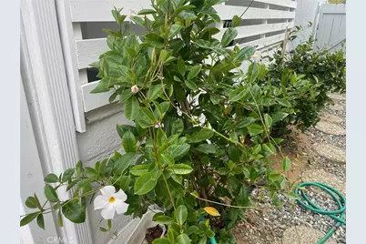 26592 Farrell St, Menifee, CA 92586 - Photo 29