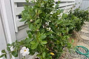 26592 Farrell St, Menifee, CA 92586 - Photo 29