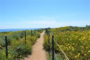 34144 Selva Rd, Dana Point, CA 92629 - Photo 15