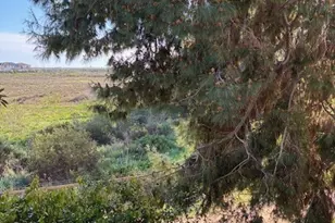 5176 107 Tortuga, Huntington Beach, CA 92649 - Photo 25