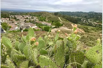 2697 Dietrich, Tustin, CA 92782 - Photo 33