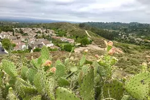 2697 Dietrich, Tustin, CA 92782 - Photo 33
