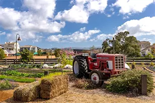 5 Splendor, Rancho Mission Viejo, CA 92694 - Photo 73