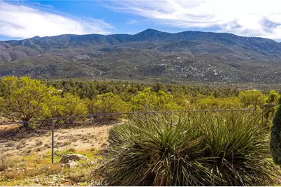 69345 Buckthorn, Mountain Center, CA 92561 - Photo 29