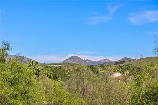 24 Water Lily, Coto de Caza, CA 92679 - Photo 31