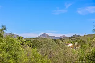 24 Water Lily, Coto de Caza, CA 92679 - Photo 31