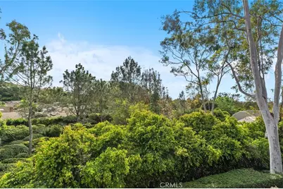 1 Rainbow Falls, Irvine, CA 92603 - Photo 29