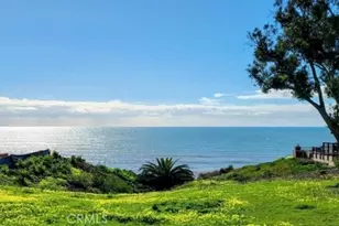 35295 Camino Capistrano, Dana Point, CA 92624 - Photo 1