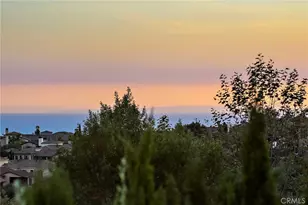 6 Canyon Peak, Newport Coast, CA 92657 - Photo 33