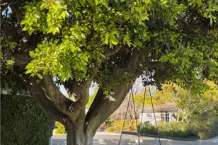 389 Mira Loma, Costa Mesa, CA 92627 - Photo 19