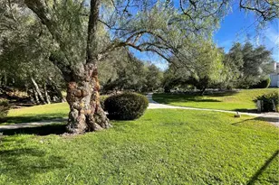 31601 Via Conejo, Coto de Caza, CA 92679 - Photo 27