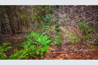 5435 Pine Ridge, Grizzly Flats, CA 95636 - Photo 17