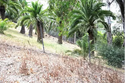 3176 N Orange, Orange, CA 92865 - Photo 3