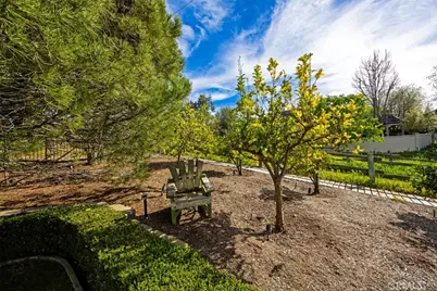 31445 Juliana Farms Road, San Juan Capistrano, CA 92675 - Photo 45