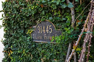 31445 Juliana Farms Rd, San Juan Capistrano, CA 92675 - Photo 61