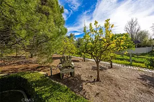 31445 Juliana Farms Rd, San Juan Capistrano, CA 92675 - Photo 45