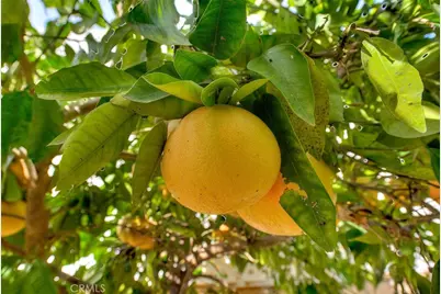 1850 Fairway Dr #61, Chino Hills, CA 91709 - Photo 75