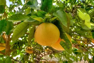 1850 Fairway Dr, Chino Hills, CA 91709 - Photo 75