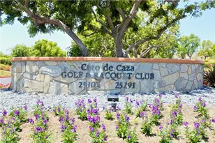31841 Via Faisan, Coto de Caza, CA 92679 - Photo 41