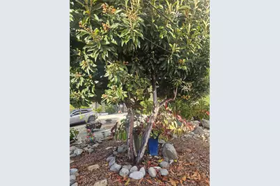 2521 Electric, Upland, CA 91784 - Photo 23