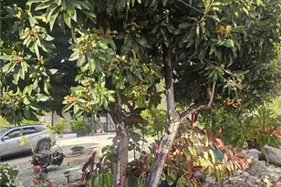 2521 Electric, Upland, CA 91784 - Photo 23