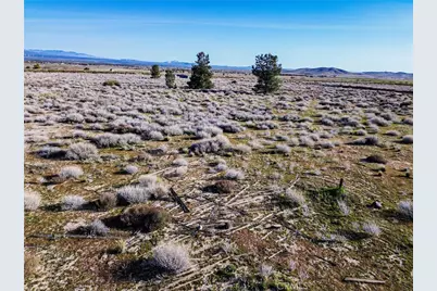 10000 195th Street, Lancaster, CA 93536 - Photo 37