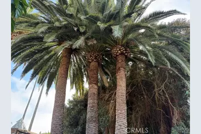 102 Trafalgar, San Clemente, CA 92672 - Photo 31