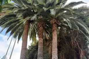 102 Trafalgar, San Clemente, CA 92672 - Photo 31