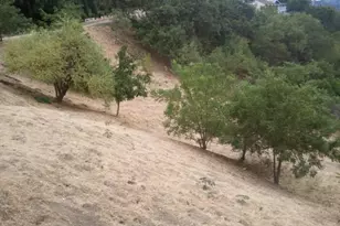 3633 E Richardson, Los Angeles, CA 90065 - Photo 1