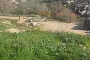 25675 Cortrite Ave, Hemet, CA 92545 - Photo 3