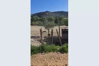 25675 Cortrite Avenue, Hemet, CA 92545 - Photo 5