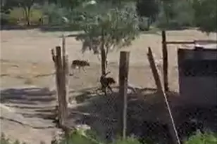 25675 Cortrite Ave, Hemet, CA 92545 - Photo 5