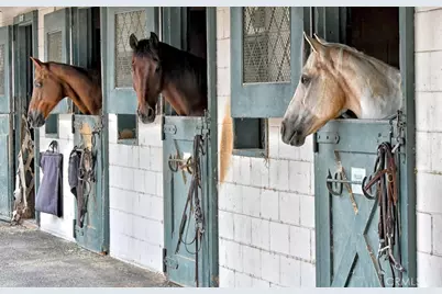 651 Avenida Sevilla #D, Laguna Woods, CA 92637 - Photo 39