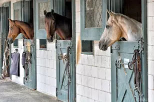 651 Avenida Sevilla, Laguna Woods, CA 92637 - Photo 39