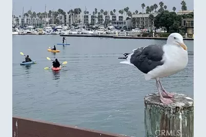 116 W Channel Islands Boulevard, Oxnard, CA 93035 - Photo 43