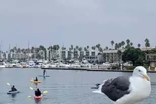 116 W Channel Islands Blvd, Oxnard, CA 93035 - Photo 57