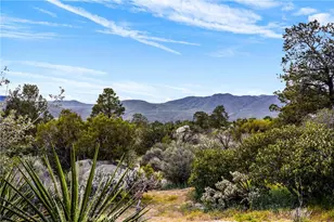 70089 Sonora, Mountain Center, CA 92561 - Photo 47